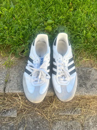Adidas sneakers